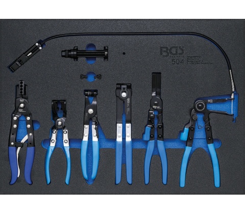 BGS 100504