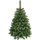 NOL Shops Jedle 180 cm