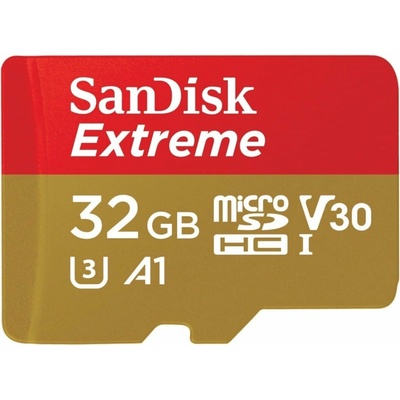SanDisk Extreme 32 GB MicroSDHC SDSQXAF-032G-GN6AA