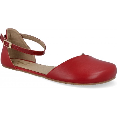 Shapen Poppy Cherry new