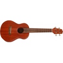 Takamine EGU-C1