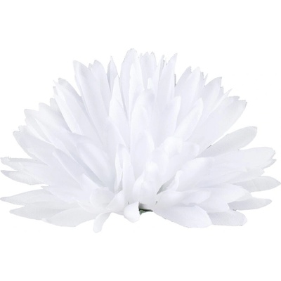 Chryzantéma hlava Ana 12 cm White 24 ks/bal