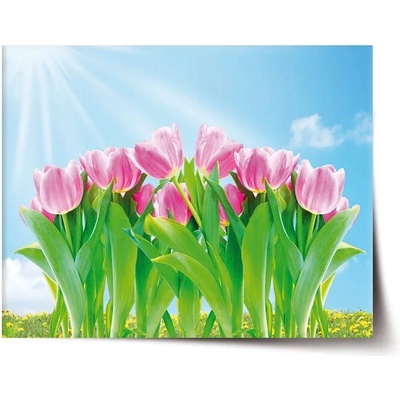 Sablio Plagát Ružové Tulipány - 60x40 cm