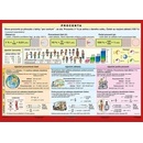 Procenta