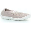 Leguano Leguanito Scio rose