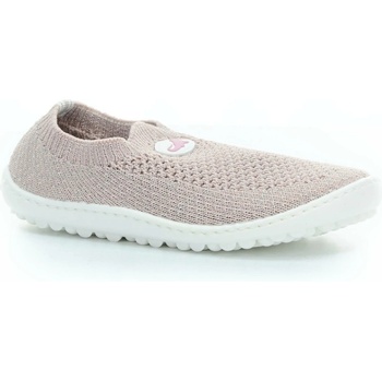 Leguano Leguanito Scio rose