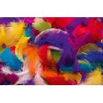 DIMEX ART Флизелинов фототапет цветни пера 375 x 250 см