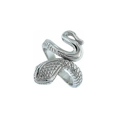 Infinitysilver Strieborný prsteň had veľký 42134159