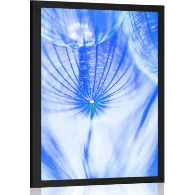 Plakát pampeliška v modrém provedení - 20x30 white