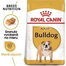 Royal Canin Adult Anglický Buldog pre dospelých psov 12 kg