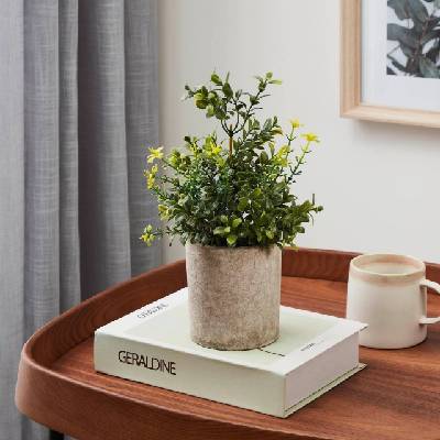 428025 - Изкуствено растение в саксия CHITOSE 25x15 см (EG428025)