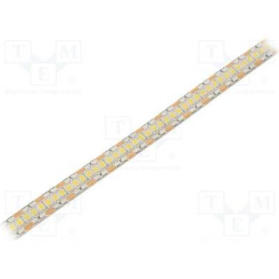 Wisva optoelectronics HH-S240F012-2835-12 CW