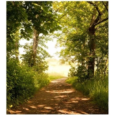 DIMEX ART Флизелинов фототапет горска пътека 225 x 250 см
