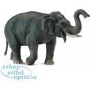 Collecta Slon asijský