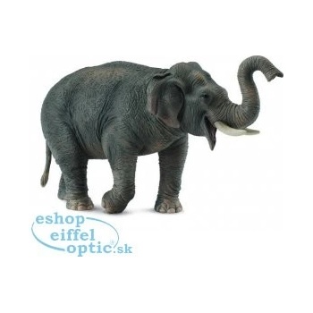 Collecta Slon asijský