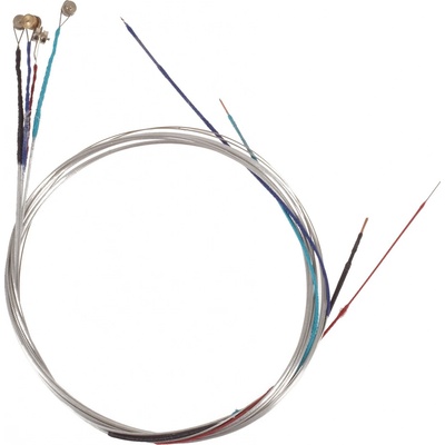 Palatino Violin Strings 4/4