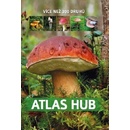 Atlas hub