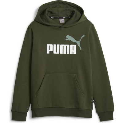 PUMA Ess + 2 col big logo hoodie fl b 128