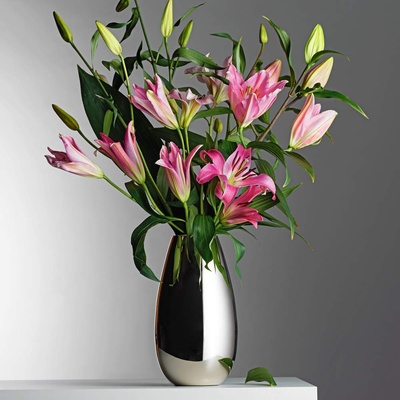 Philippi Голяма ваза philippi от серия anais