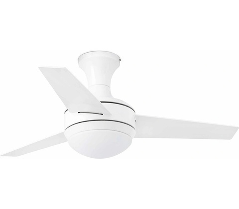 Faro 33454