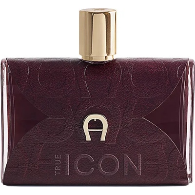 Etienne Aigner True Icon EDP 100 ml