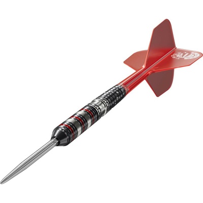 steel Target Japan Diamond G3 22g SP 90% wolfram
