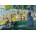 Bluebird Puzzle - Puzzle Seurat - A Sunday Afternoon on the Island o - 1 000 piese