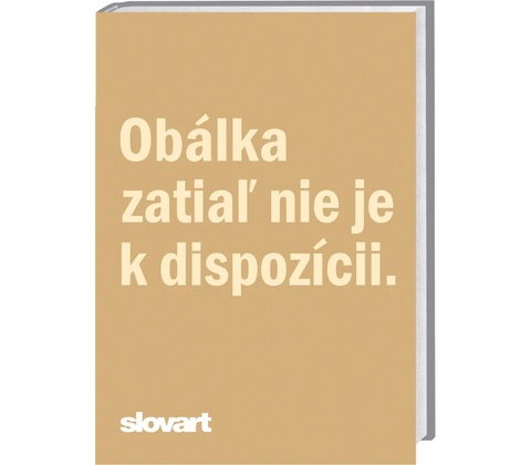The Foreigner - Stephen Leather