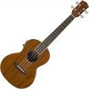 Fender Rincon