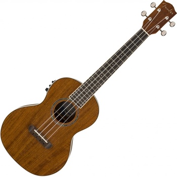 Fender Rincon