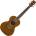 Fender Rincon