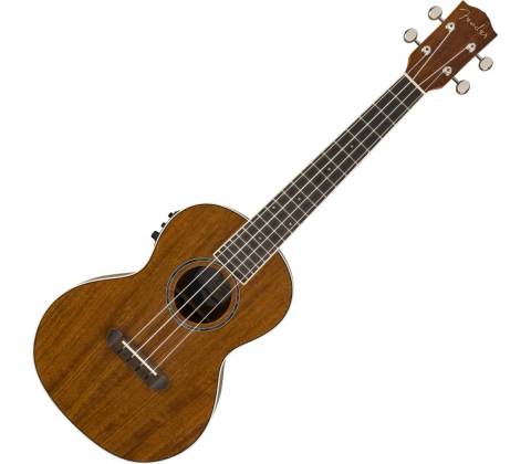 Fender Rincon