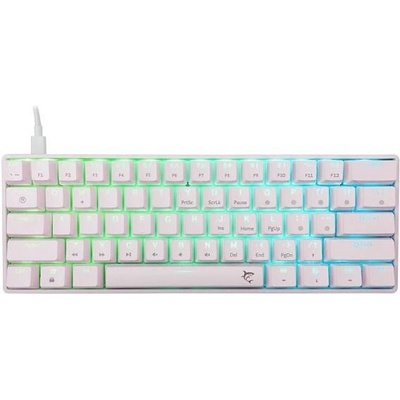 White Shark SHINOBI 2 White Blue Switch GK-004211