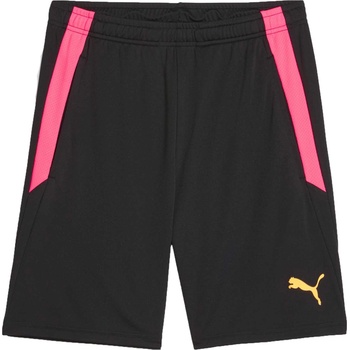PUMA Teamliga training shorts 2 l