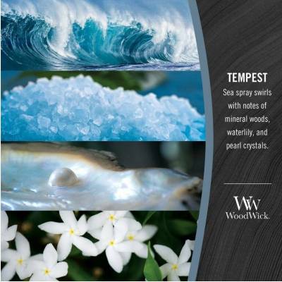 WoodWick Tempest 453,6 g