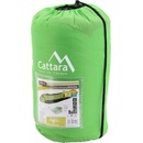 Cattara Bergen