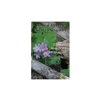 Image 1 of Biblical Hebrew Picture Dictionary | JEFF A. BENNER