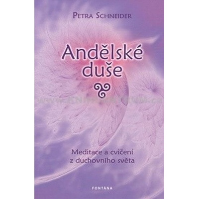 Andělské duše - Petra Schneider