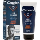 Delia Cameleo Men šampon proti lupům pro muže 150 ml