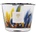 Baobab Collection Rainforest Mayumbe 10 cm
