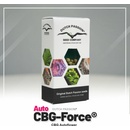 Dutch Passion Force CBG semena neobsahují THC 7 ks