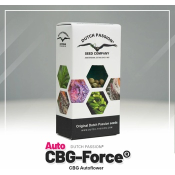Dutch Passion Force CBG semena neobsahují THC 7 ks