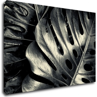 Impresi Obraz Detail listov - 90 x 60 cm