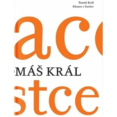 Situace v kostce