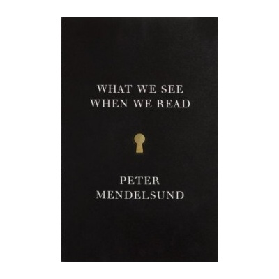 What We See When We Read - Peter Mendelsund