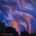 Ted Olsen - Violette LP