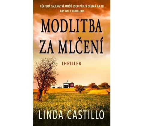 Modlitba za mlčení