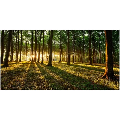 Foto obraz fotografie na skle slnečné lúče 100x50 cm