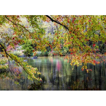 Alipson Branches On the Edge of the River 1000 dielov