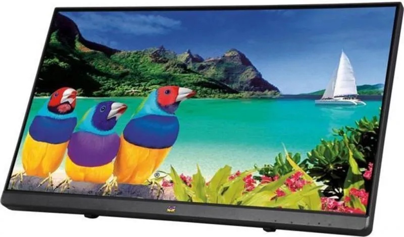 ViewSonic TD2230